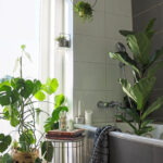 Badezimmer Vibe! #Badezimmer #Badezimmerdeko #Pflanz With Regard To Badezimmer Deko Pflanzen
