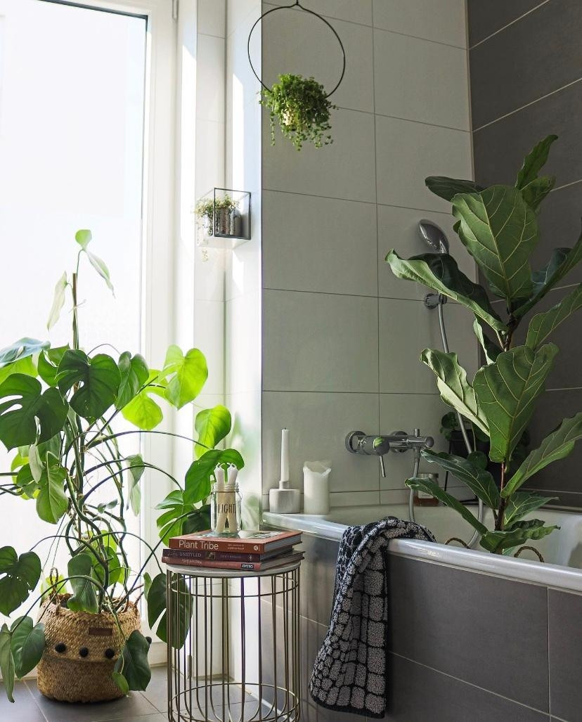 Badezimmer Vibe! #Badezimmer #Badezimmerdeko #Pflanz with regard to Badezimmer Deko Pflanzen