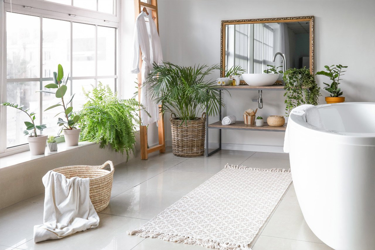 Pflanzen Im Badezimmer - Welche Eignen Sich Und Worauf Ist Zu Achten? with regard to Badezimmer Pflanzen Hängend